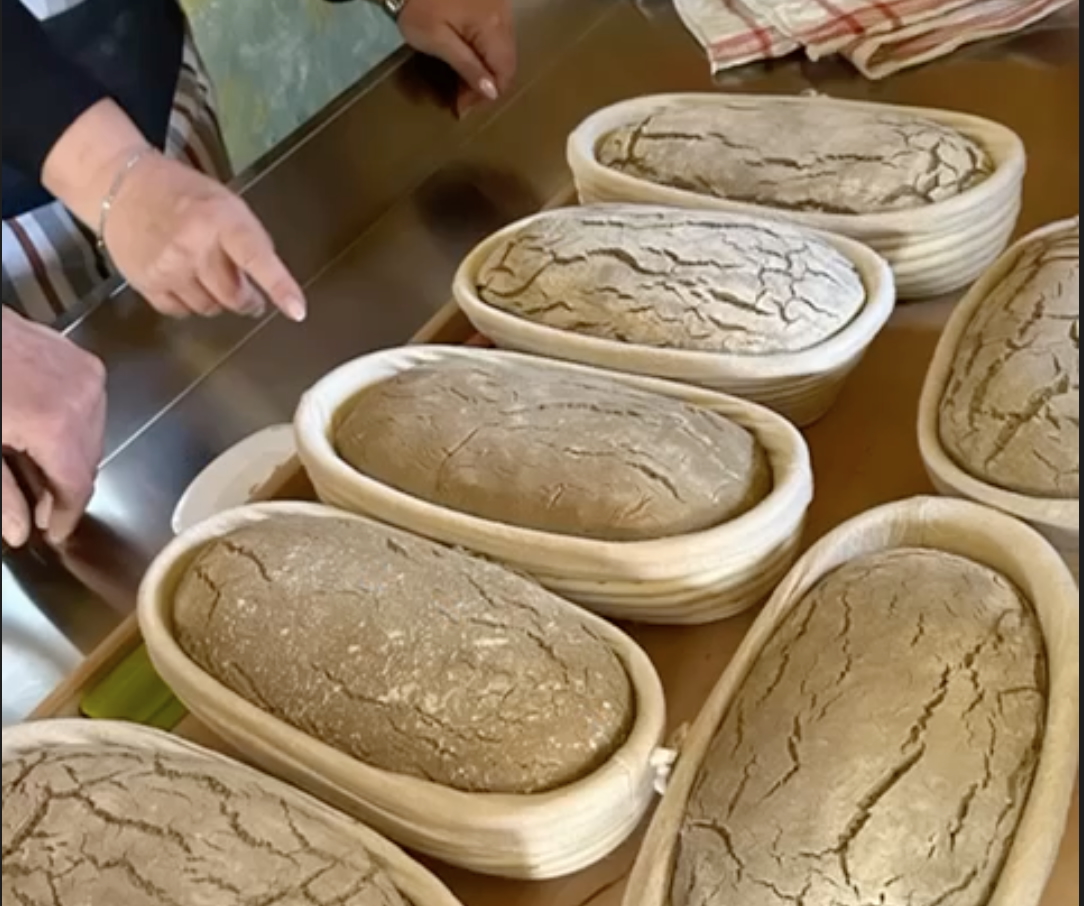 Impressionen vom Frühjahrs-Workshop 2025